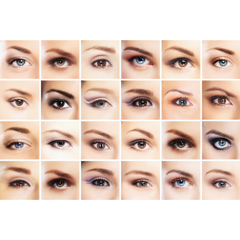 Sage University Face Reading Seminars